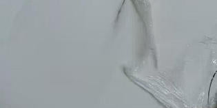 5D AB12101 12"X24" POLISHED WHITE CARRARA TILE 8PCS/BOX 16SF/BOX $1.29/SF 3000SF+ $1.19/SF (No Return No Exchange No Claim on Broken)
