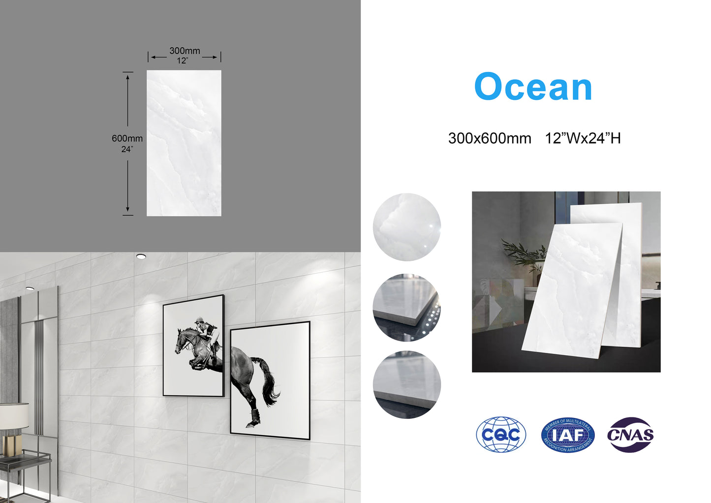 Ocean family Full Polished Glazed Tile light gray 12"x24" 8pcs/box 16sf/box $22.24/box $1.39/sf (15 days return/exchange) Bulk Deal 1000sf+ $1.19/SF(No return/no exchange)