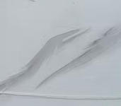 5D 6301 24"X24" POLISHED WHITE CARRARA TILE  4PCS/BOX 16SF/BOX  $1.29/SF 1000SF+ $1.19/SF (No Return No Exchange No Claim on Broken)