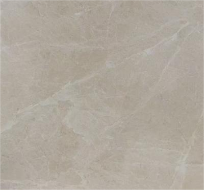 66222 Matt Porcelain Tile Wall/Floor 24"x24" 4pcs/16sf/box $1.19/SF 2000SF+ $1.09/SF A1
