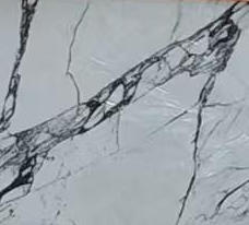 5D PT652 24"X24" POLISHED WHITE CARRARA TILE  4PCS/BOX 16SF/BOX  $1.29/SF 1000SF+ $1.19/SF (No Return No Exchange No Claim on Broken)