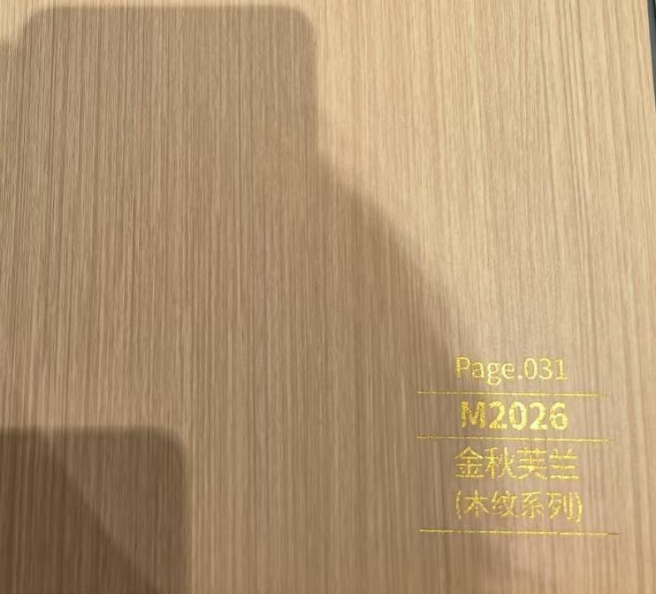 WPC WALL PANEL M2026 Light Brown 6" x 10'(168 x 2900mm) $11.99/PC x 4PCs(20SF) = $47.96BOX 10Boxes+ $39.96/BOX ($9.99/PC) SOLD BY BOX A12