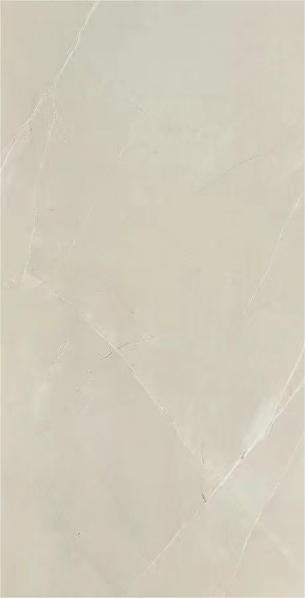 TRJPM12A305 24"x48" Matt Porcelain Tile Grey 2pcs/16sf/box $1.19/SF 2000SF+ $1.09/SF 4000SF+ $0.99/SF  (No Return No Exchange No Claim on Broken) - Home Idol Vancouver Richmond Surrey