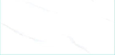 5D 6105 24"X48" POLISHED WHITE CARRARA TILE  3PCS/BOX 24SF/BOX  $1.39/SF 3000SF+ $1.29/SF (No Return No Exchange No Claim on Broken)