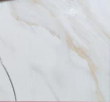 5D C66P08Z 24"X24" POLISHED BROWN TILE  4PCS/BOX 16SF/BOX  $1.29/SF 1000SF+ $1.19/SF (No Return No Exchange No Claim on Broken)