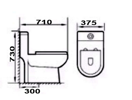 *Promotion* Toilet DMT-807  *side* flush 1pc toilet ada handicap commercial approved ceramic toilet (include toilet seat) $129/pc