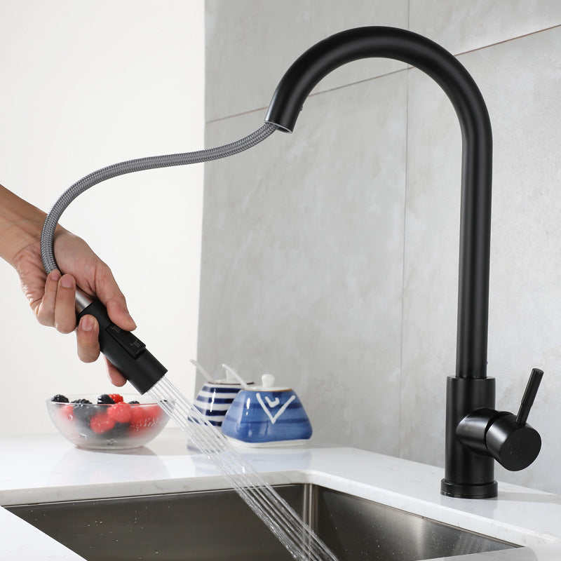 FA2018-ED BLACK SUS304 WITH 2 HOSE KITCHEN FAUCET $59