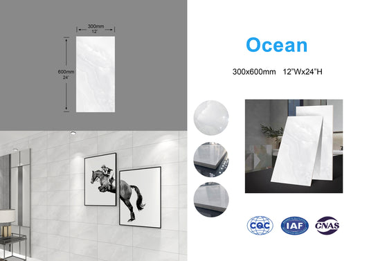 Ocean family Full Polished Glazed Tile light gray 12"x24" 8pcs/box 16sf/box $23.84/BOX $1.49/sf